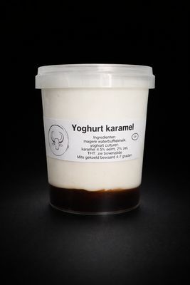 Yoghurt karamel