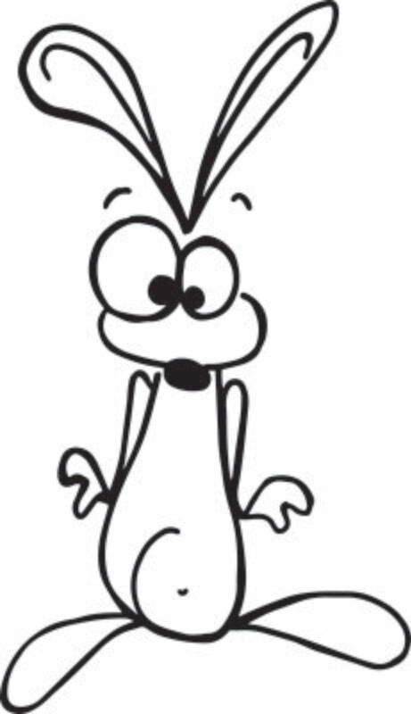 Rabbit Klaus 02