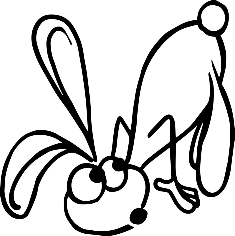 Rabbit Klaus 05