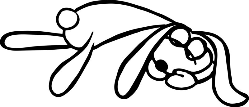 Rabbit Klaus 07