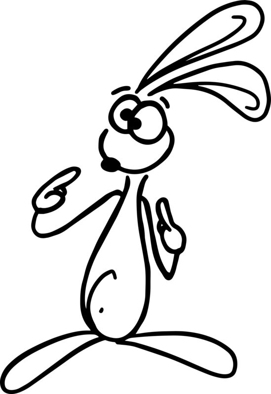 Rabbit Klaus 09