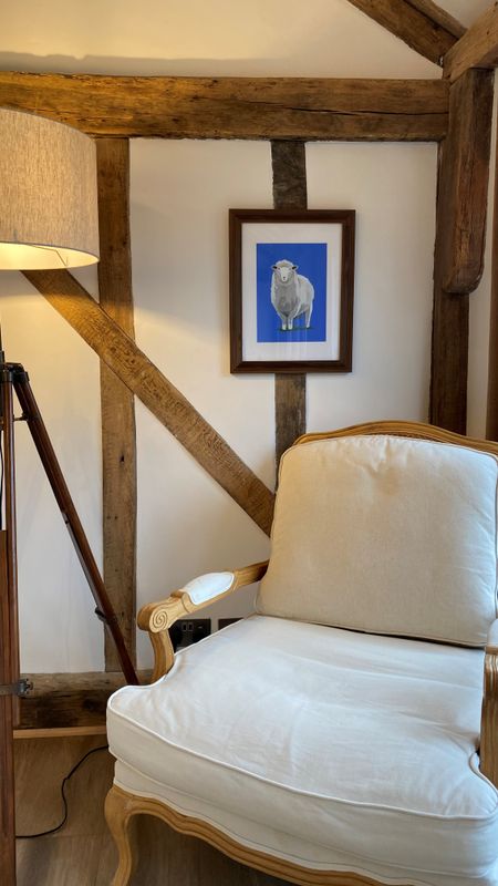 Romney Marsh Sheep on Blue