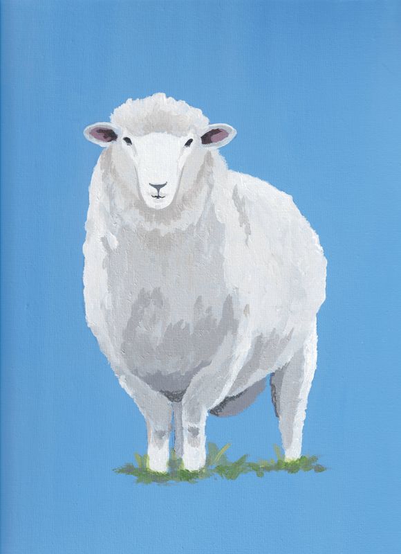 Romney Marsh Sheep on Blue