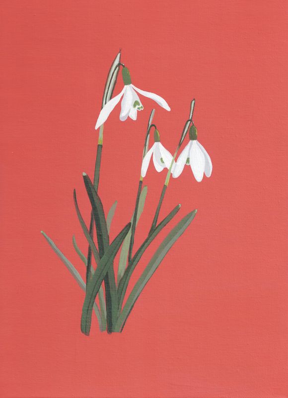 Snow drops on Red
