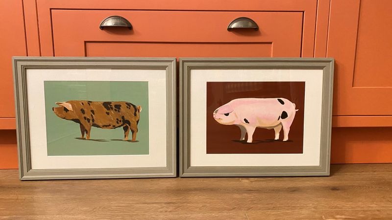 Pig Gloucester Old Spot on Red