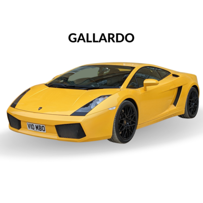 GALLARDO