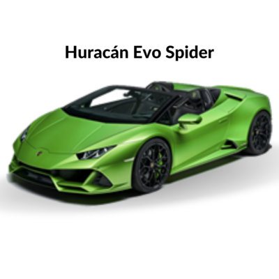 Evo Spyder