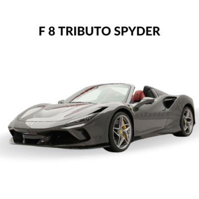 F 8 TRIBUTO SPYDER