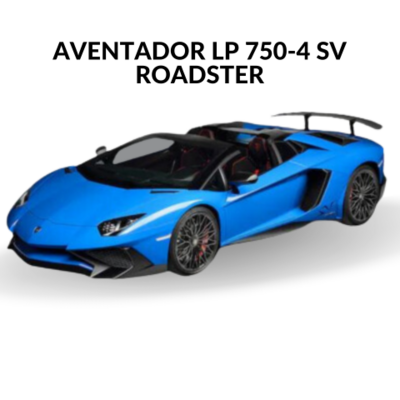 LP 750-4 SV Roadster