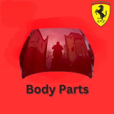 BODY PARTS