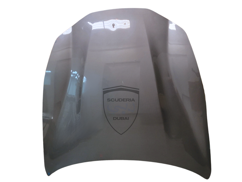 FRONT COMPLETE BONNET FOR FERRARI FF