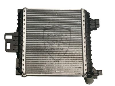 AUXILIARY RADIATOR SIDEBLADE RH. FOR ALL LAMBORGHINI URUS AUXILIARY RADIATOR SIDEBLADE RH. FOR ALL LAMBORGHINI URUS