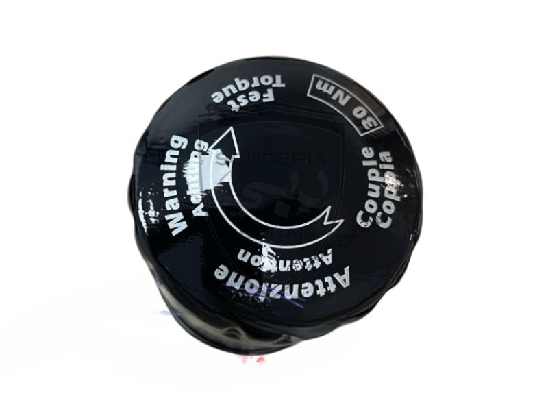 OIL FILTER FOR MASERATI