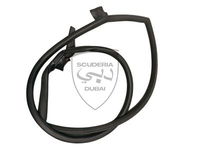DOOR SEAL FOR ALL LAMBORGHINI HURACAN COUPE DOOR SEAL FOR ALL LAMBORGHINI HURACAN COUPE