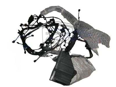 HARNESS COMPLETE FOR LAMBORGHINI AVENTADOR