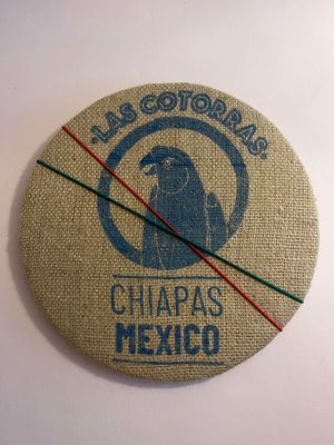 Mexico Chiapas Parrot  Pinboard
