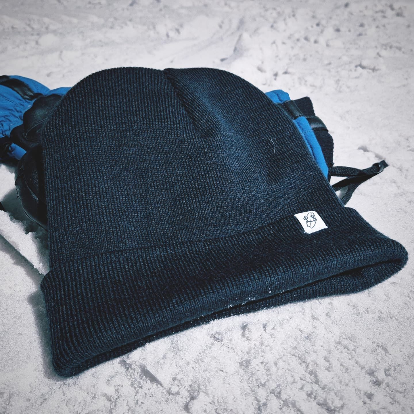 LS Beanie