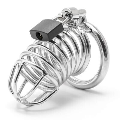 Endless Excitement&#39;s Custom Chastity Cage
