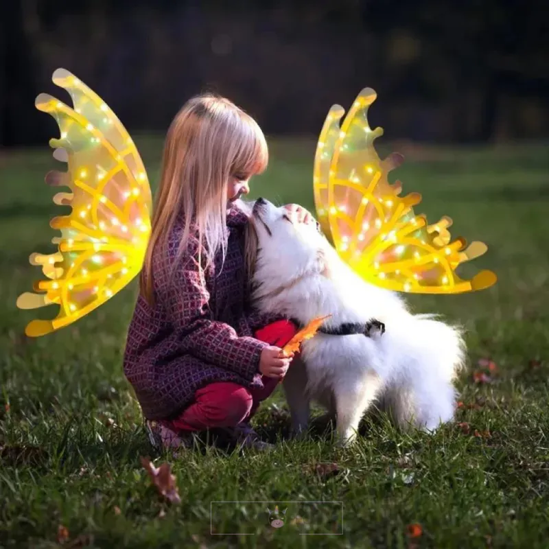 Electric Fairy Wings Light for childrens and Pets 🏷️15% Offer Multi colour