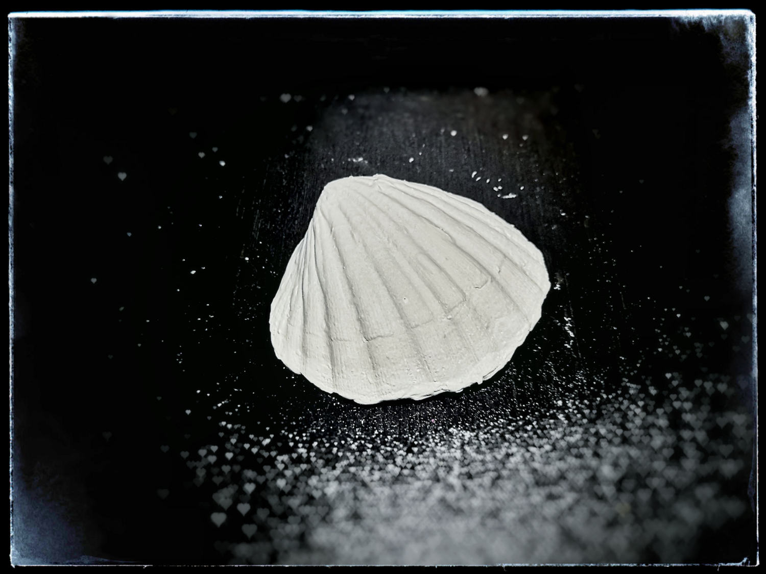 Mussel - Large