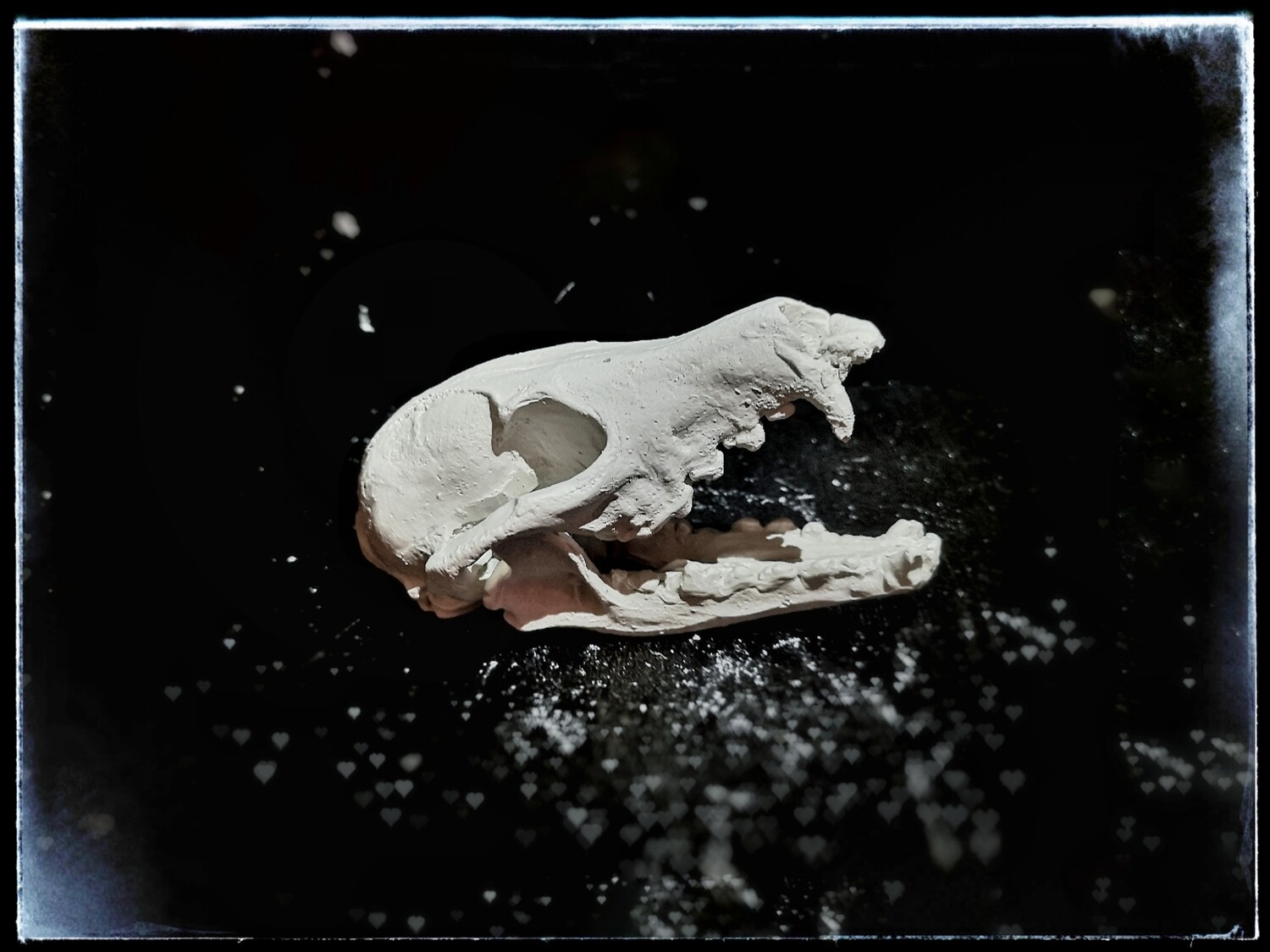 Fox Skull - Large