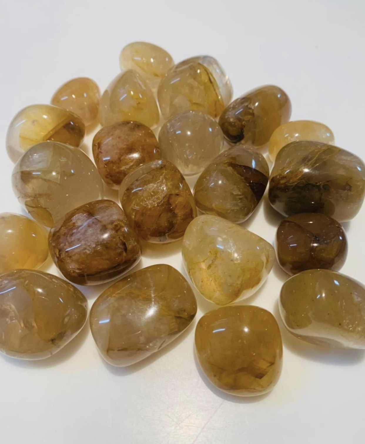 Golden Healer Tumbles (HQ)