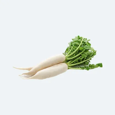 Mully (Radish) long in LBs