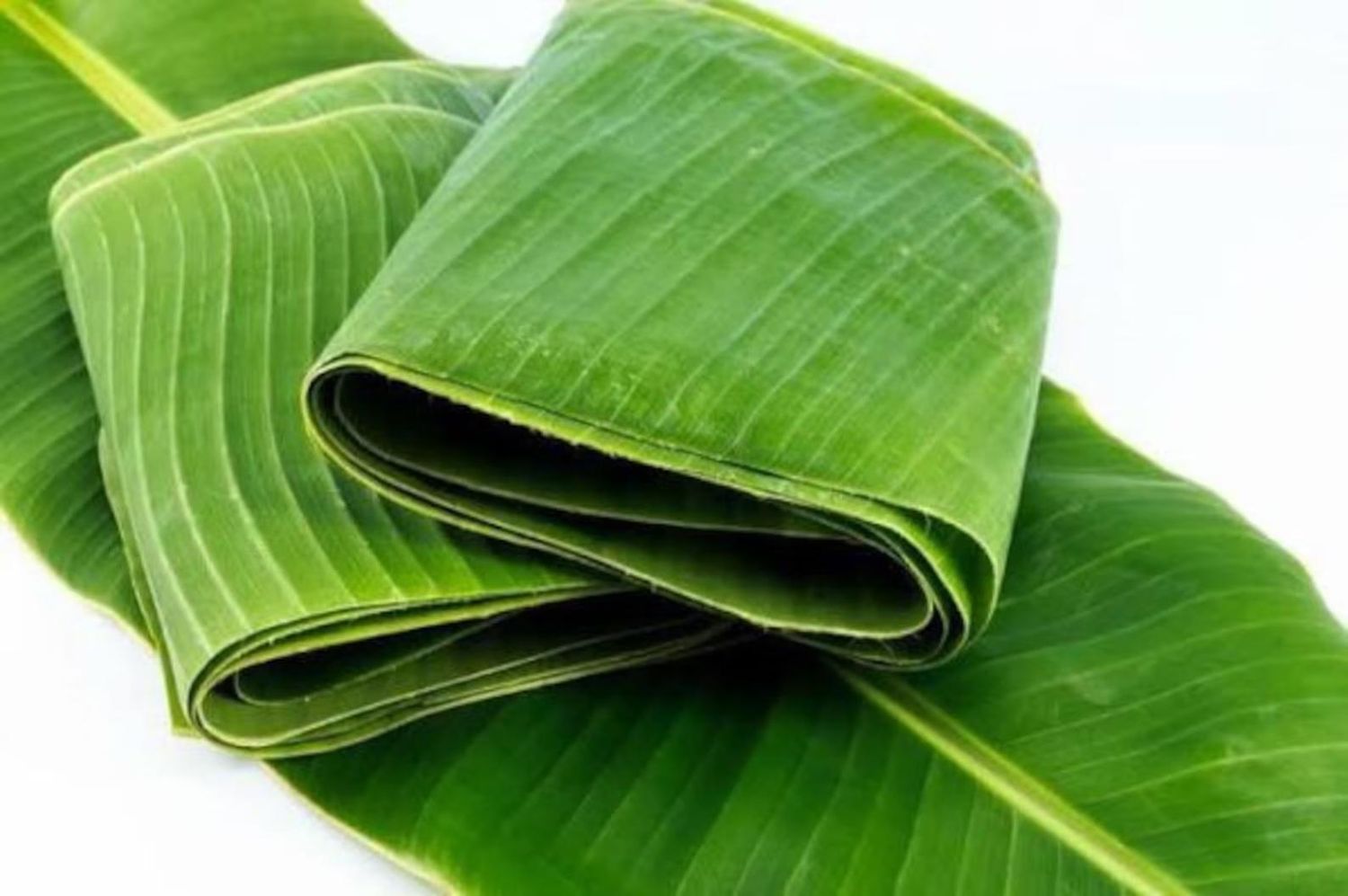 Banana Leaves (Pack of 2)