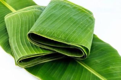 Banana Leaves (Pack of 2)