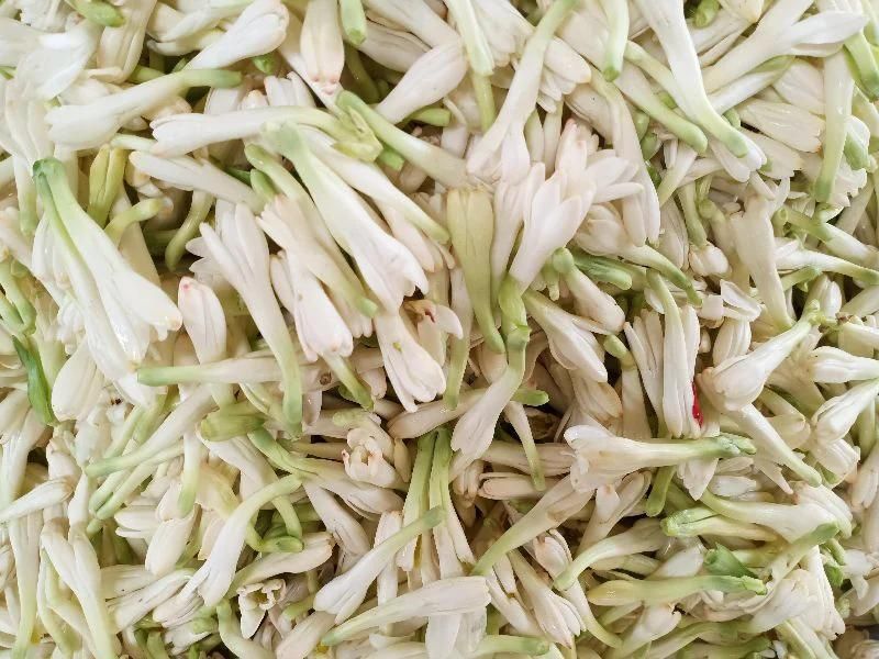 Lily Sampangi (Loose) 500 gms