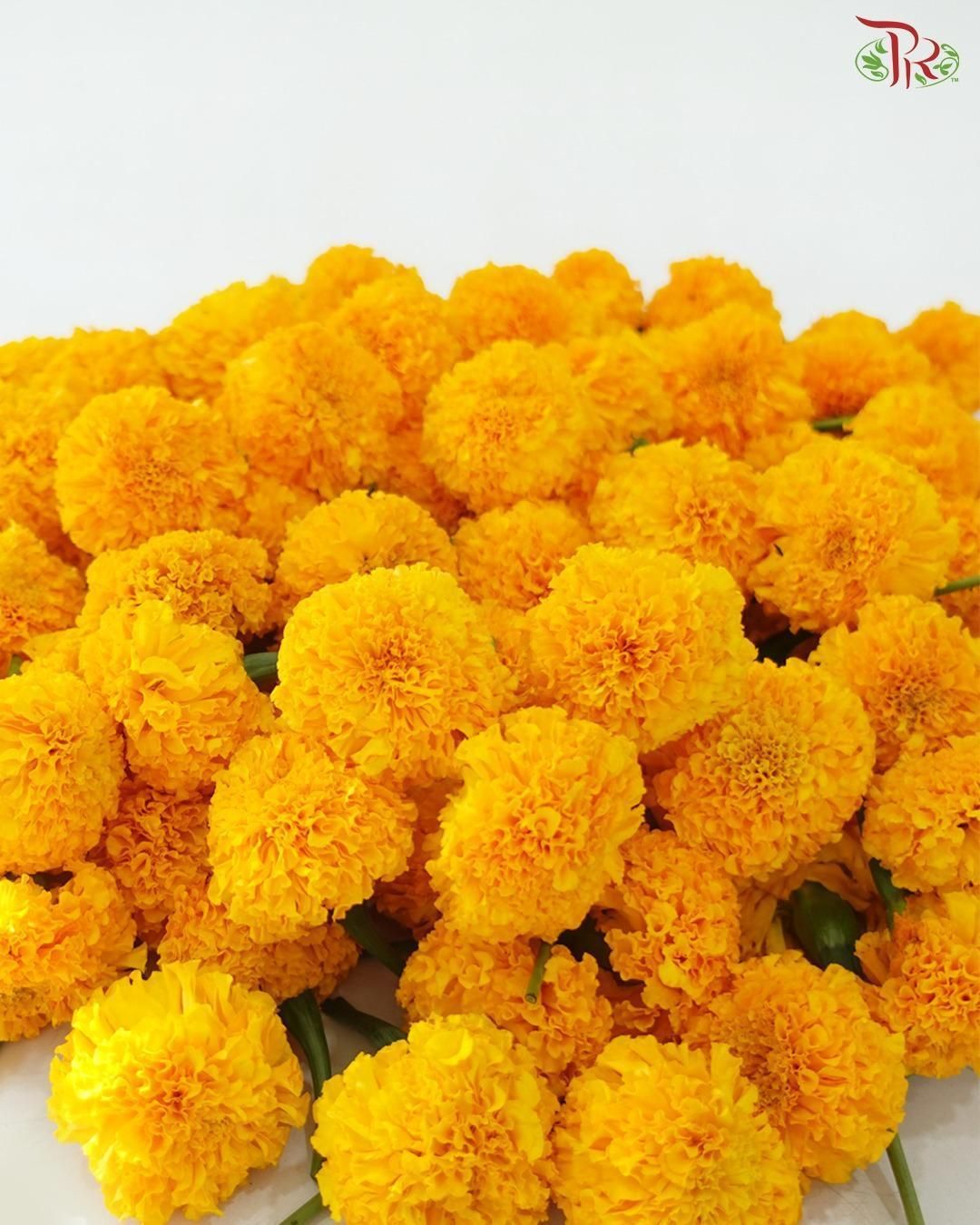 Yellow Marigold (Loose) 500 gms