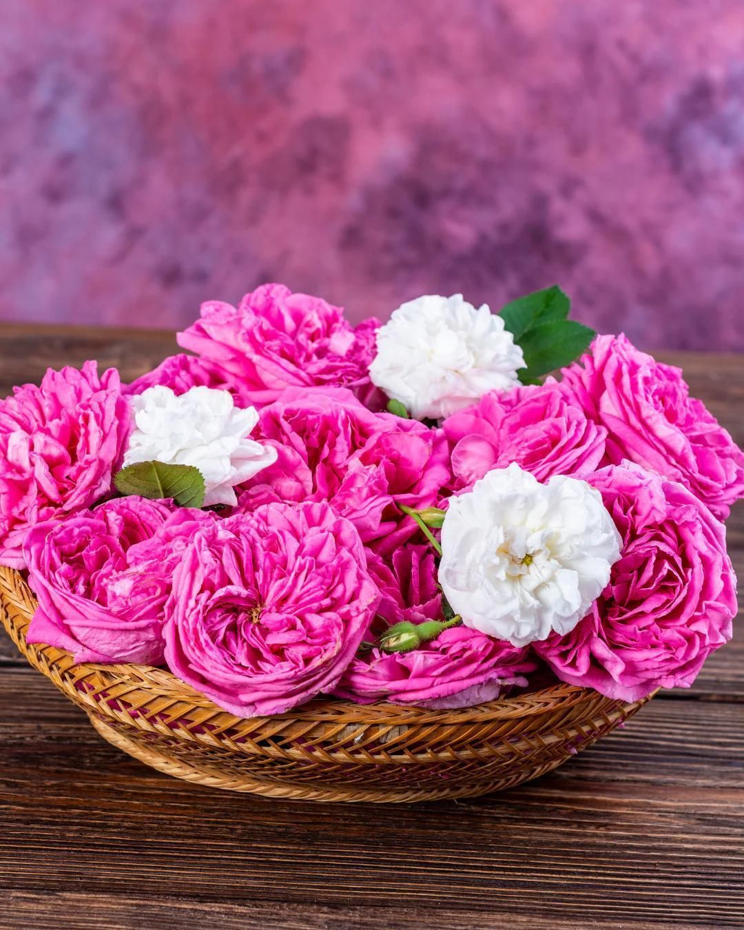 Paneer roses (Loose) 100 gms