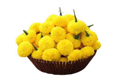 Yellow Marigold (Loose)