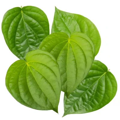 Fresh Pan Leaves (Pack of 5)
