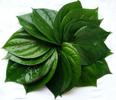 Fresh Pan Leaves (Pack of 5)