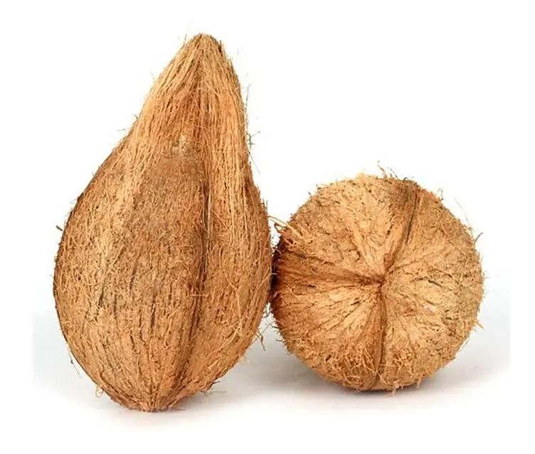 Coconut Pooja