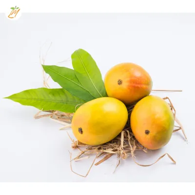 Kesar Mangoes (10-11pc)