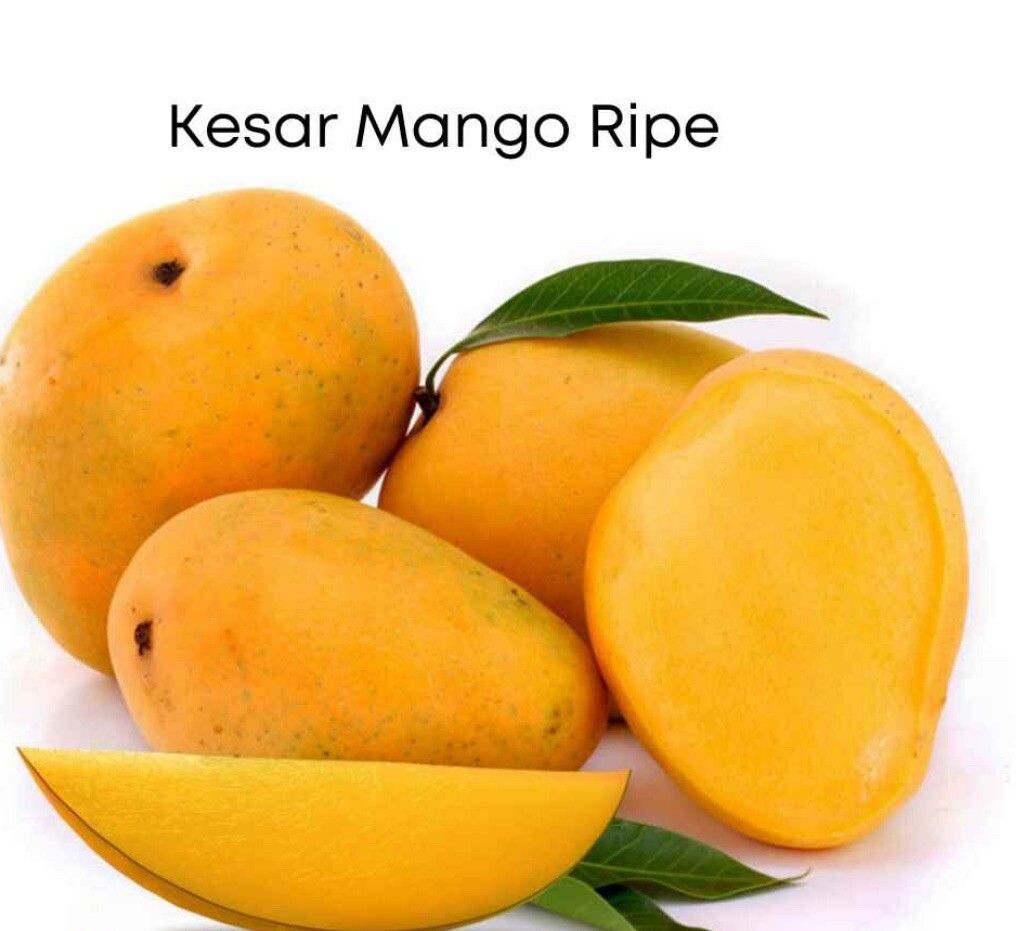 Kesar Mangoes Case - (10-11pc)
