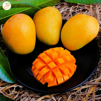 Alphonso Mangoes (10-11pc)