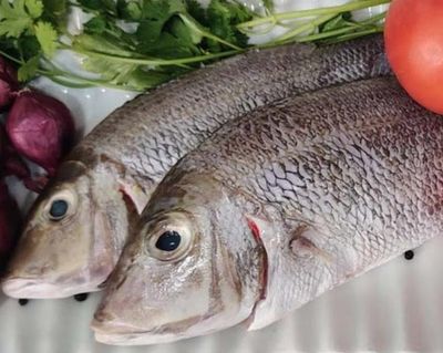 Emperor / Velai Meen 1Lb