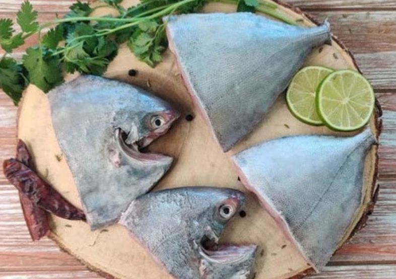 Black Pomphret / Vavval 1Lb