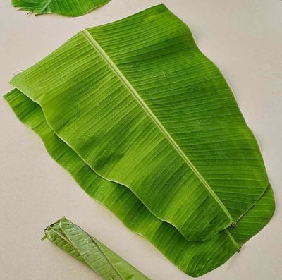 Banana Leaves (Pack of 10)