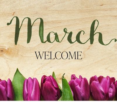 Προσφορές Μήνα