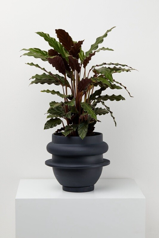 Bud Pot