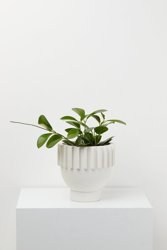 Solstice Pot