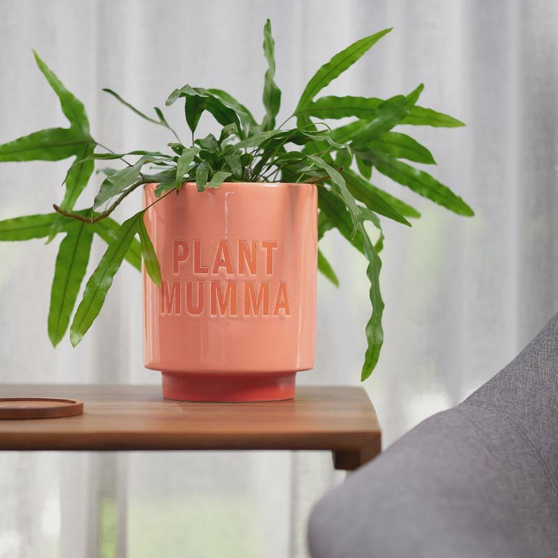 Ceramic Planter - Plant Mamma
