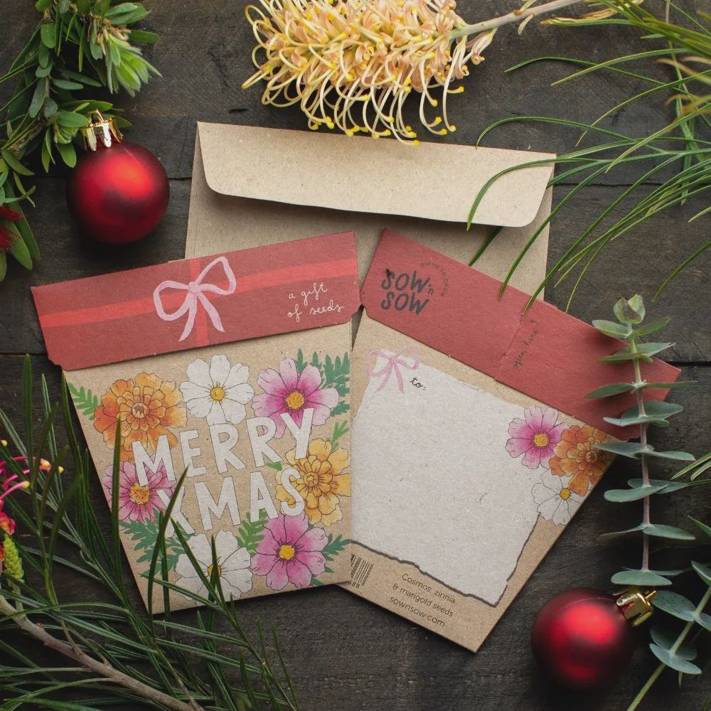 Gift of Seeds - Christmas Blooms