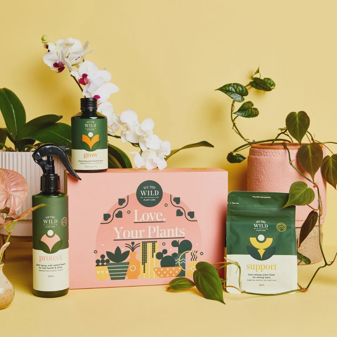 Love Your Plants - Essential Plant Care Kit