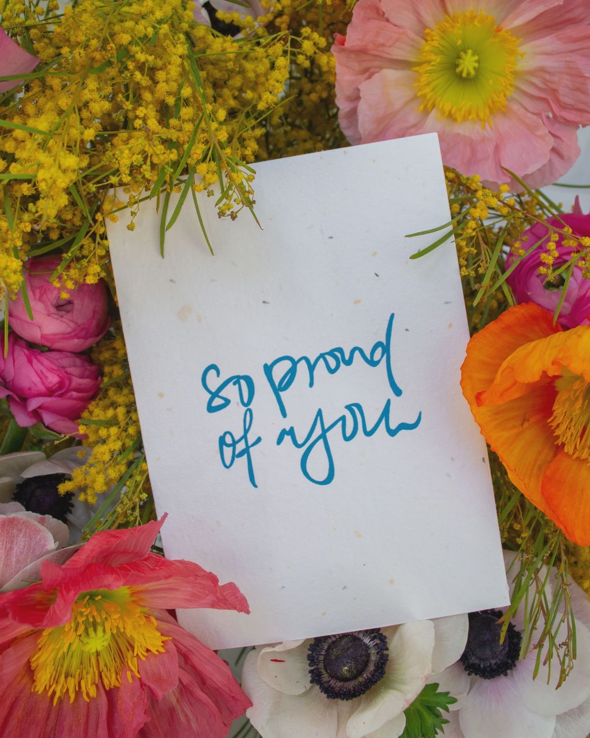 So Proud of You Greeting Cards