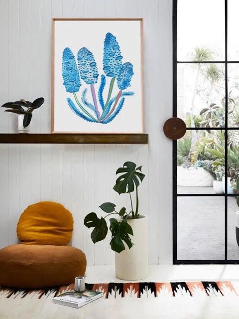 Old Man Banksia by Madeleine Stamer